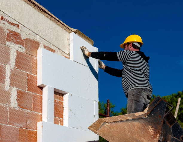 Best Insulation Maintenance and Repair in Ofallon, IL