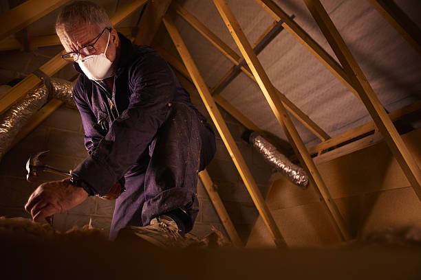 Best Residential Insulation in Ofallon, IL